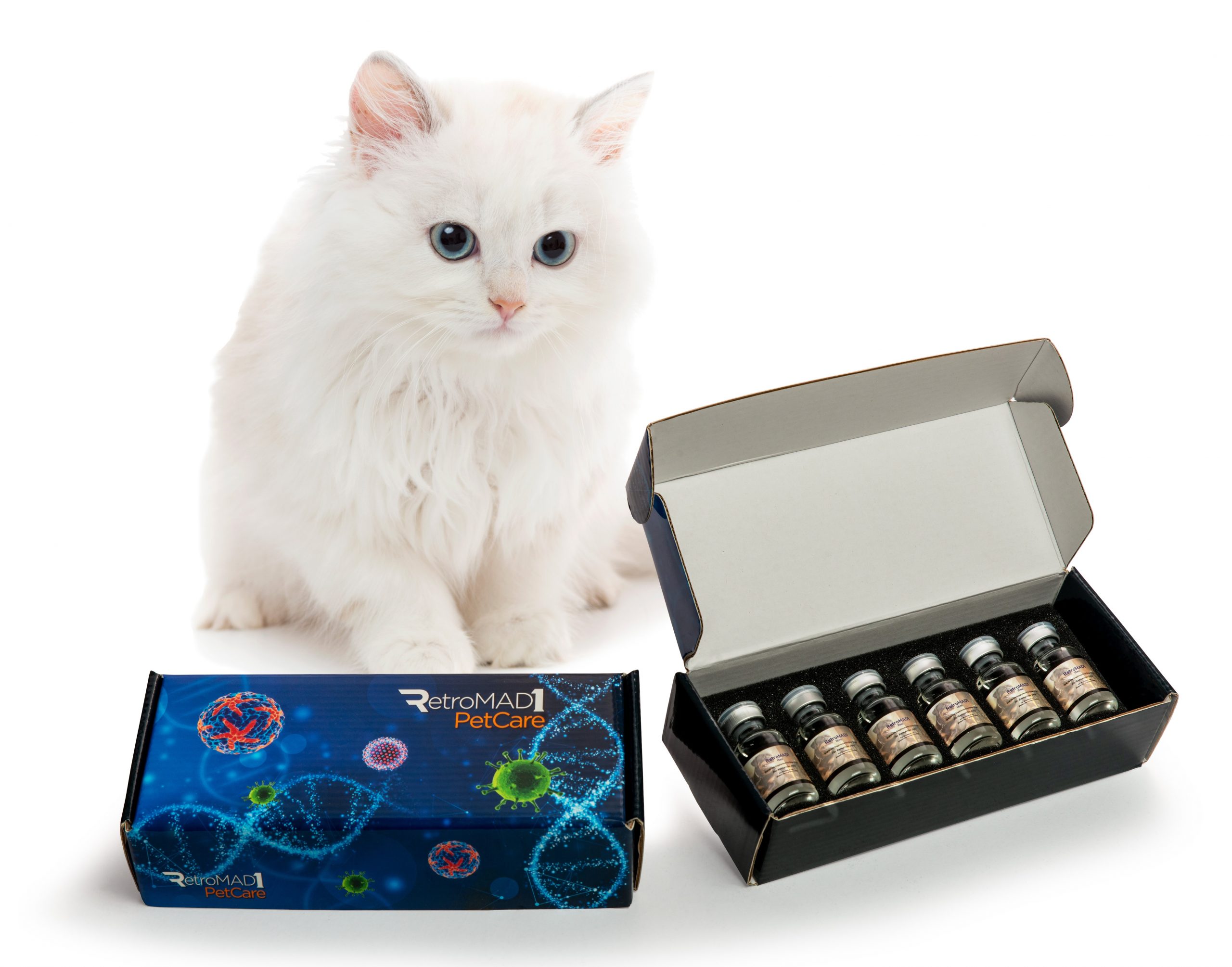 RetroMAD1 box for 15mL (with cat image)