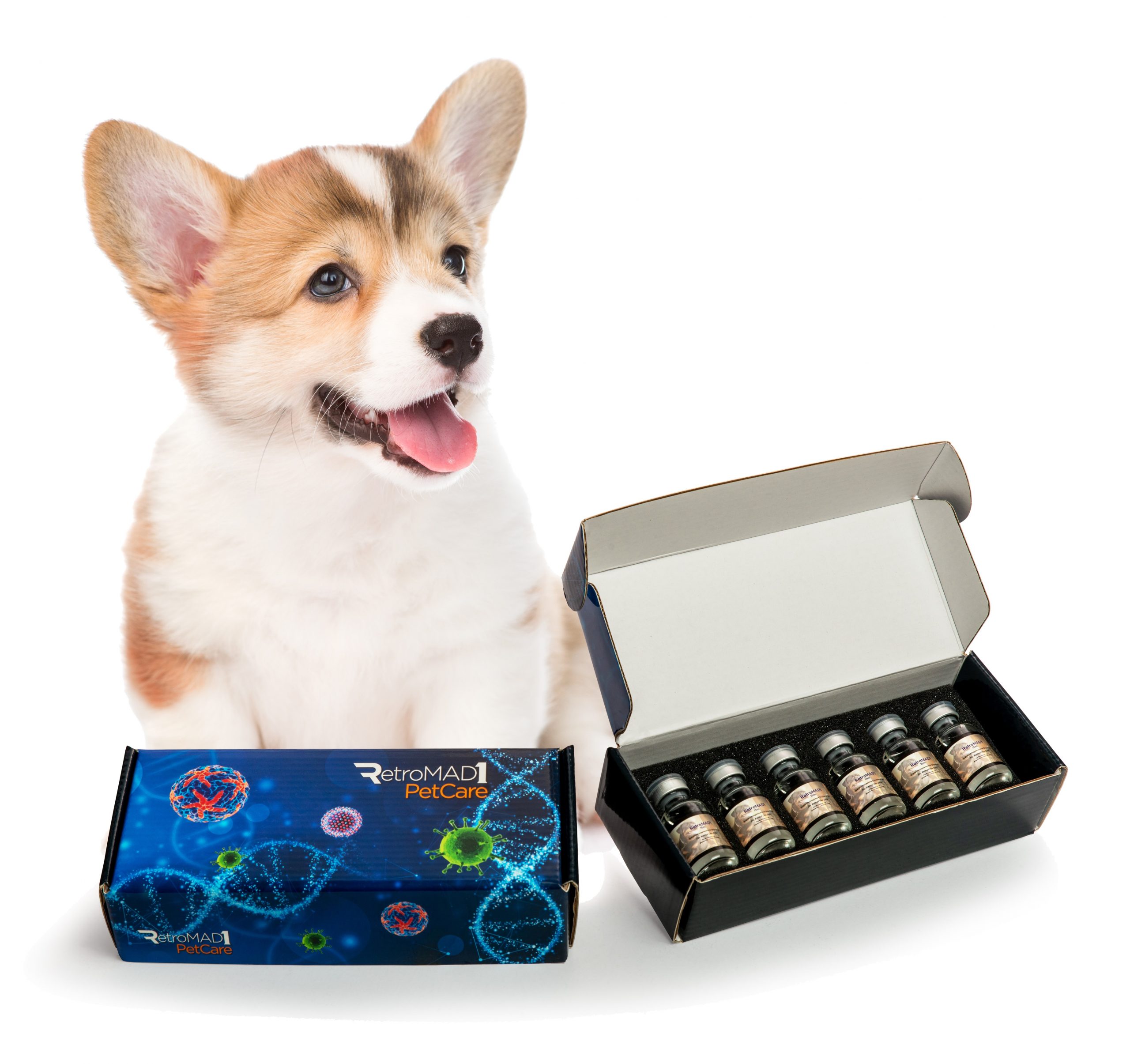 RetroMAD1 box for 15mL (with dog image)